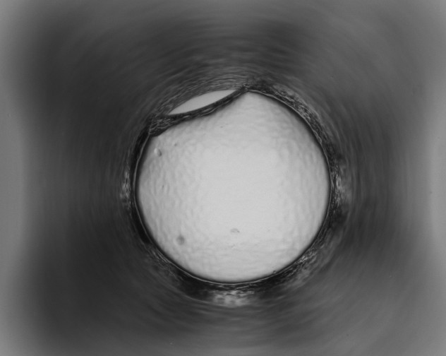 X0000094080561200711161609