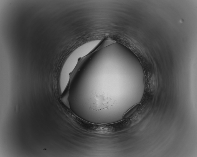 X0000094080562200711161609