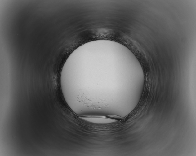 X0000094080563200711161609
