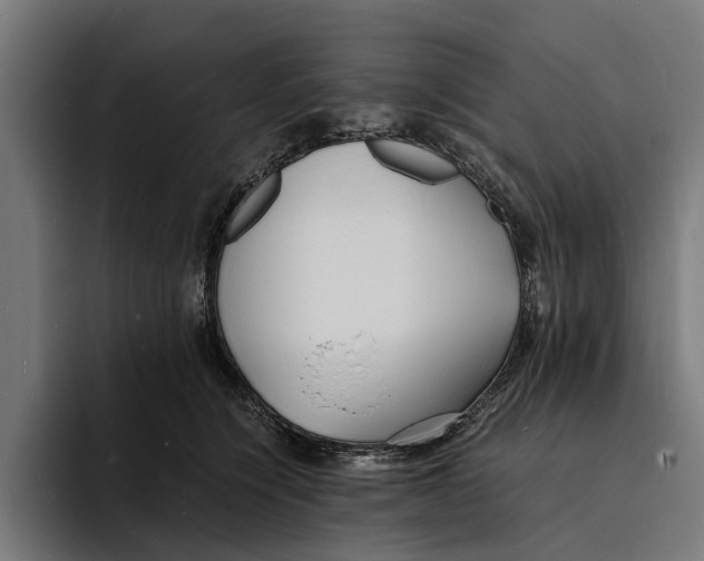X0000094080564200711161609