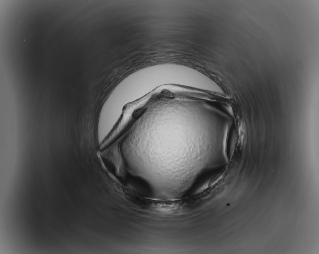 X0000094080570200711161610