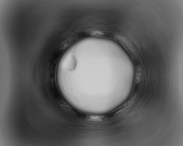 X0000094080573200711161610