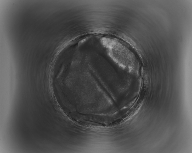 X0000094080577200711161609