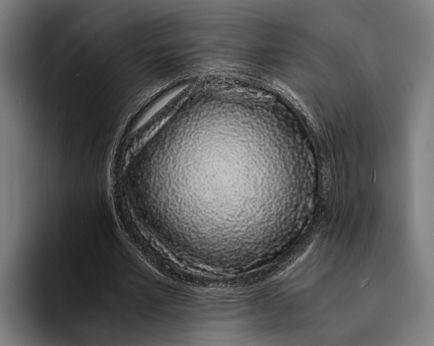 X0000094080581200711161609