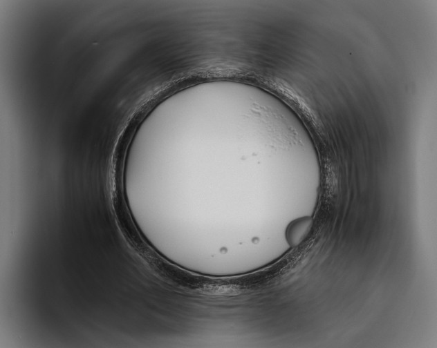 X0000094080582200711161609