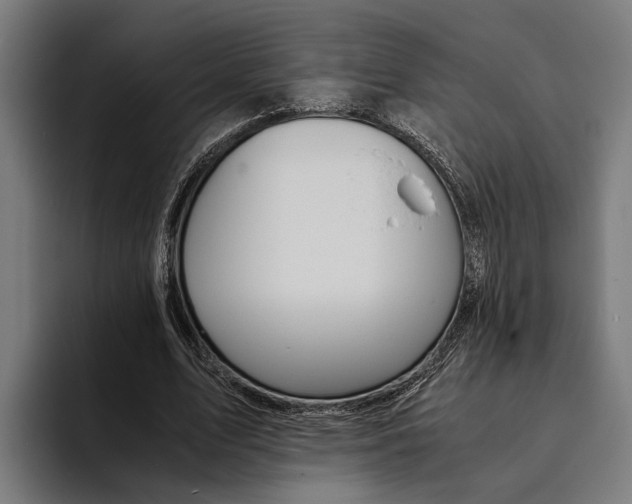 X0000094080583200711161609
