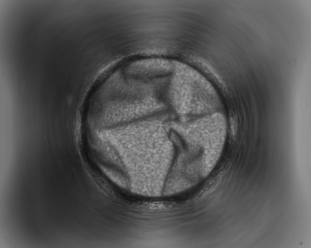 X0000094080588200711161609