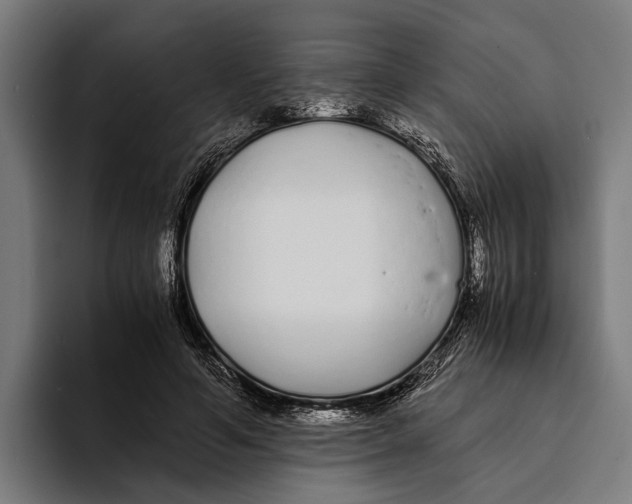 X0000094080594200711161609
