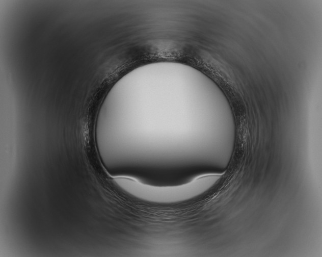 X0000094080595200711161609