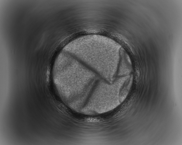 X0000094080596200711161609