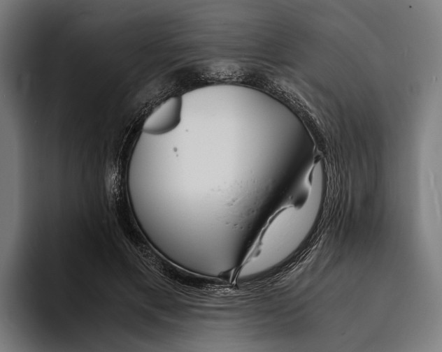 X0000094080597200711161609