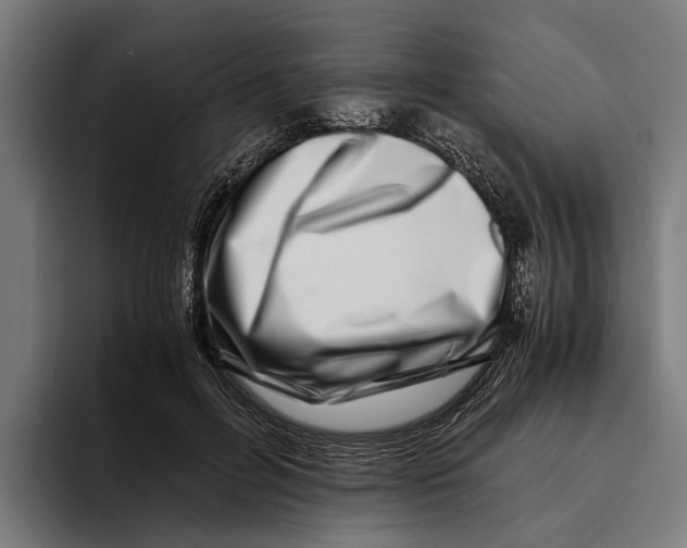 X0000094080600200711161609