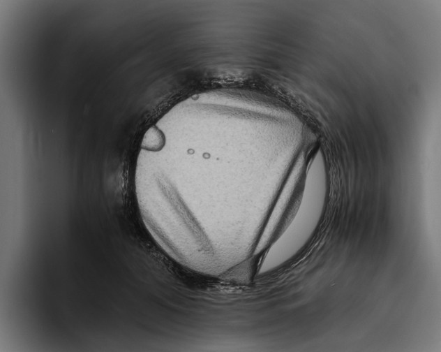 X0000094080608200711161609