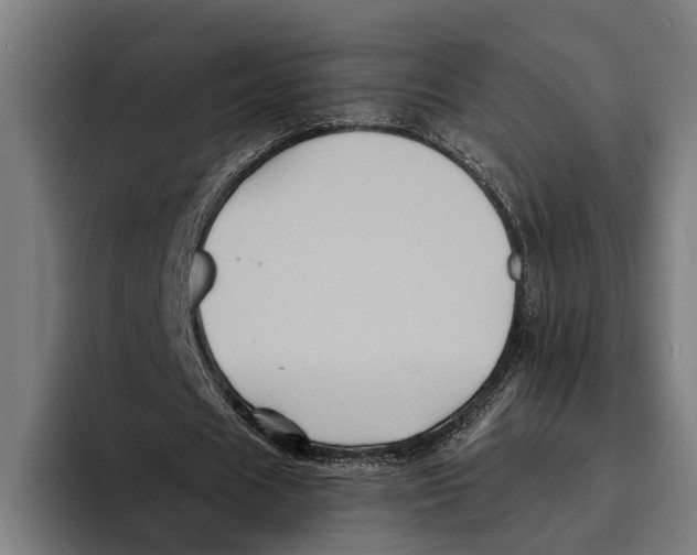 X0000094080625200711161608