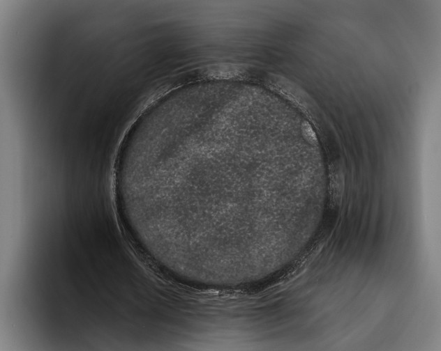 X0000094080626200711161608