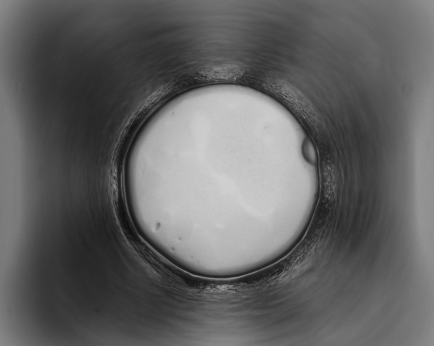X0000094080634200711161608