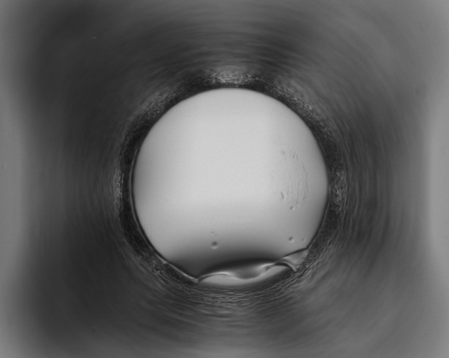 X0000094080639200711161608
