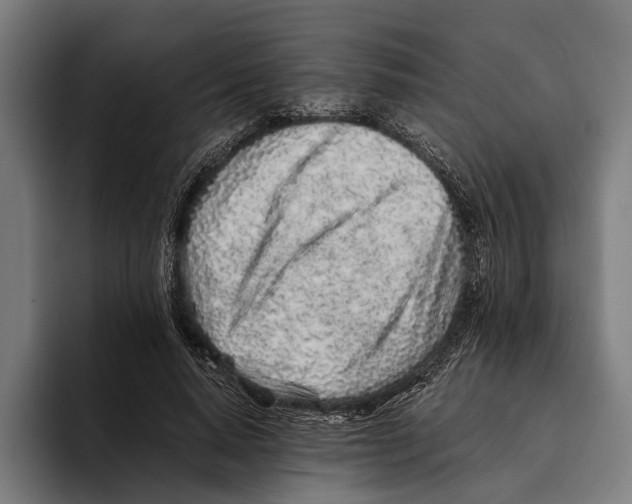X0000094080640200711161608