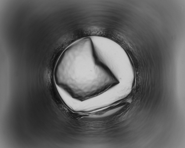 X0000094080643200711161608