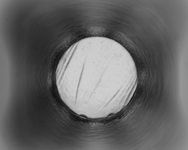 X0000094080644200711161608