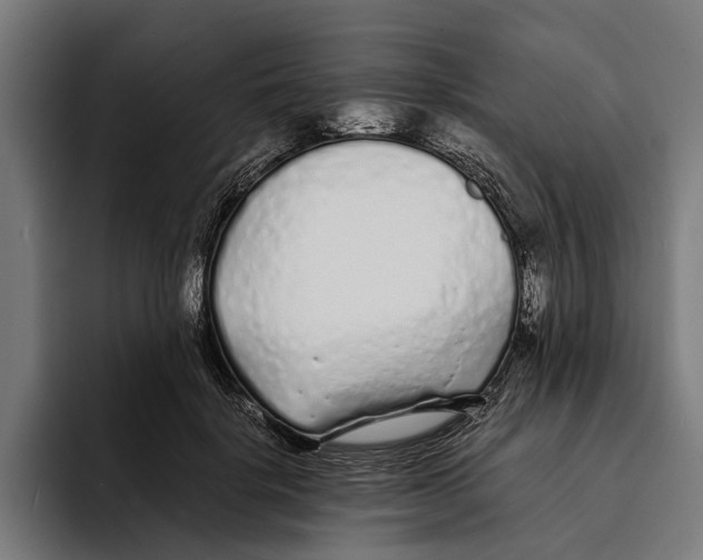 X0000094080652200711161608