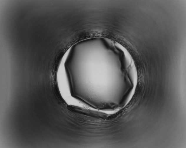 X0000094080661200711161608