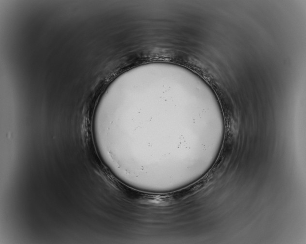 X0000094080663200711161608