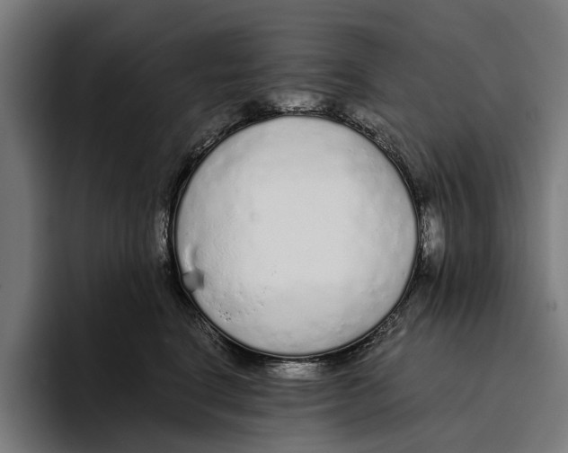 X0000094080664200711161608