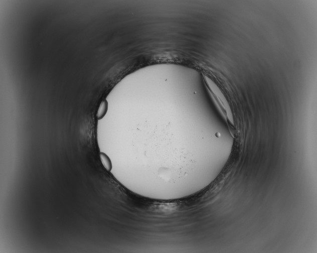 X0000094080665200711161608