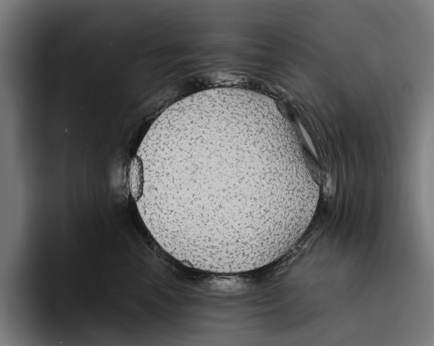 X0000094080666200711161608