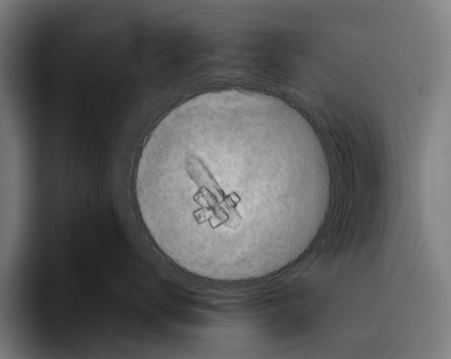 X0000094080672200711161608
