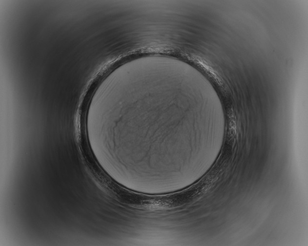 X0000094080678200711161608