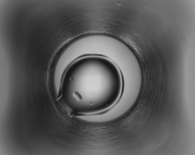 X0000094080684200711161608