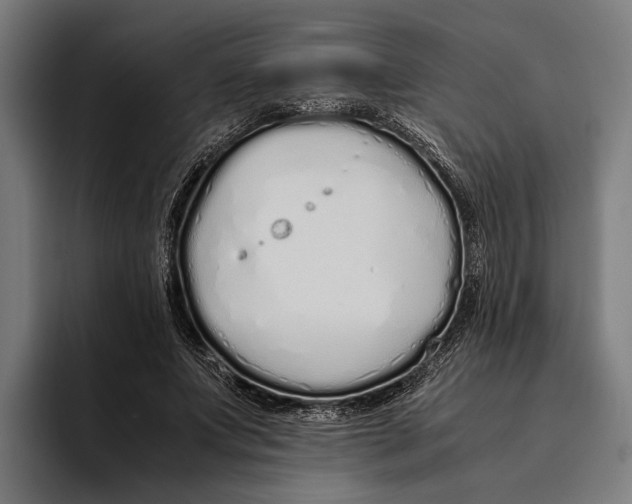 X0000094080687200711161608