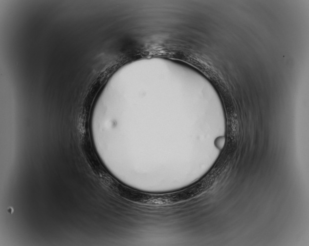 X0000094080691200711161607