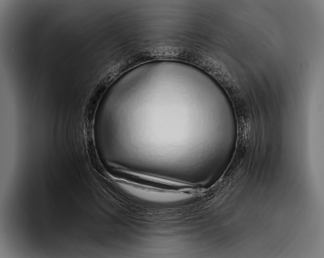 X0000094080692200711161607