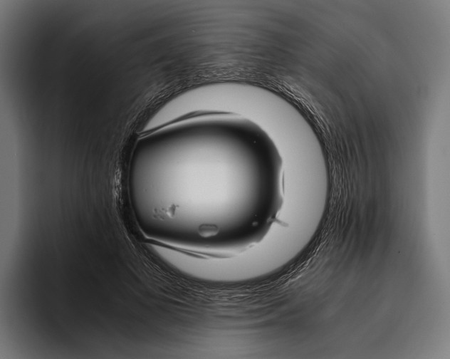 X0000094080693200711161607