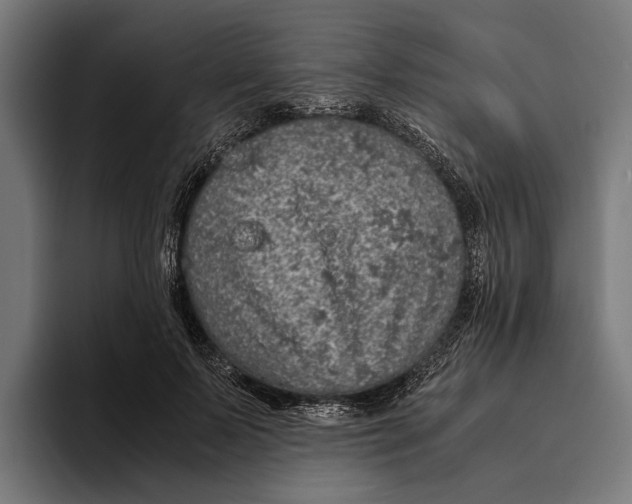 X0000094080695200711161607