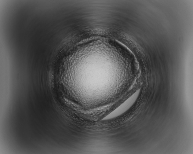 X0000094080696200711161607