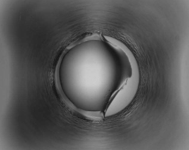 X0000094080697200711161607