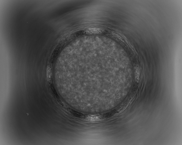 X0000094080701200711161607