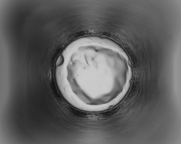 X0000094080703200711161607