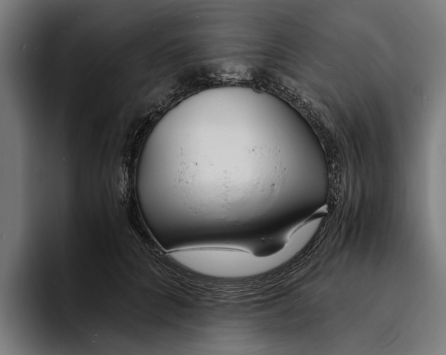 X0000094080704200711161607