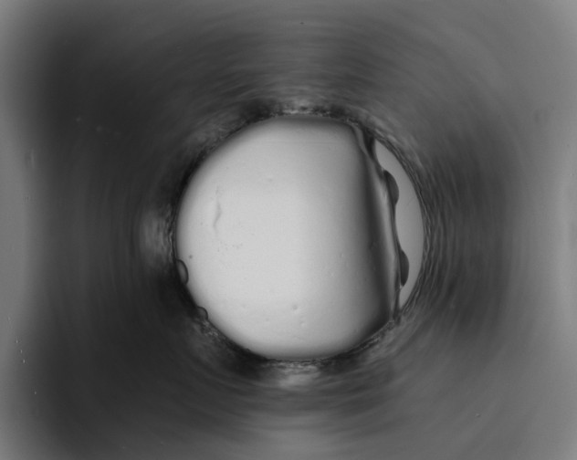 X0000094080719200711161607