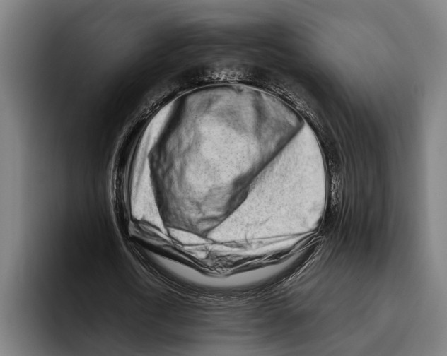 X0000094080722200711161606