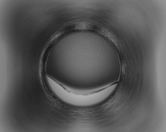 X0000094080724200711161607