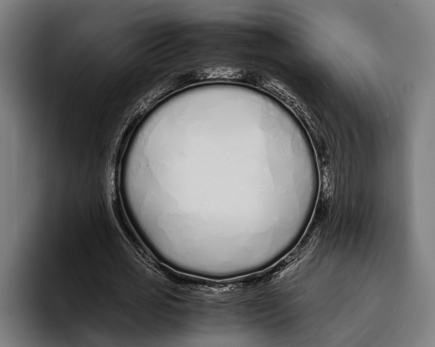 X0000094080725200711161607