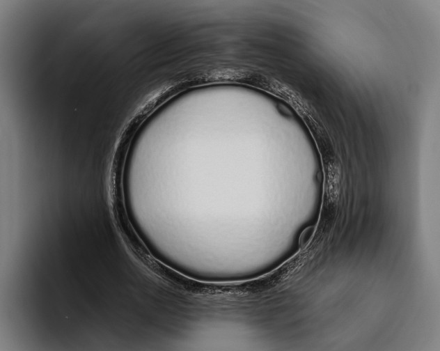 X0000094080726200711161607