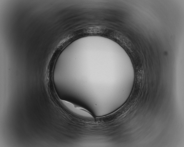 X0000094080727200711161607