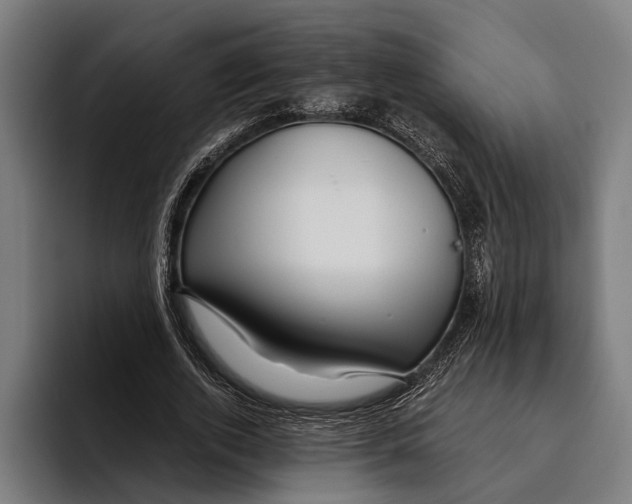 X0000094080728200711161607